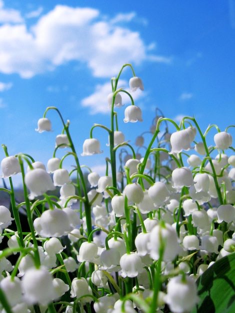 Dunblane We Stand with You as We Remember ….13 th March 1996 … 🙏🏽❤️X