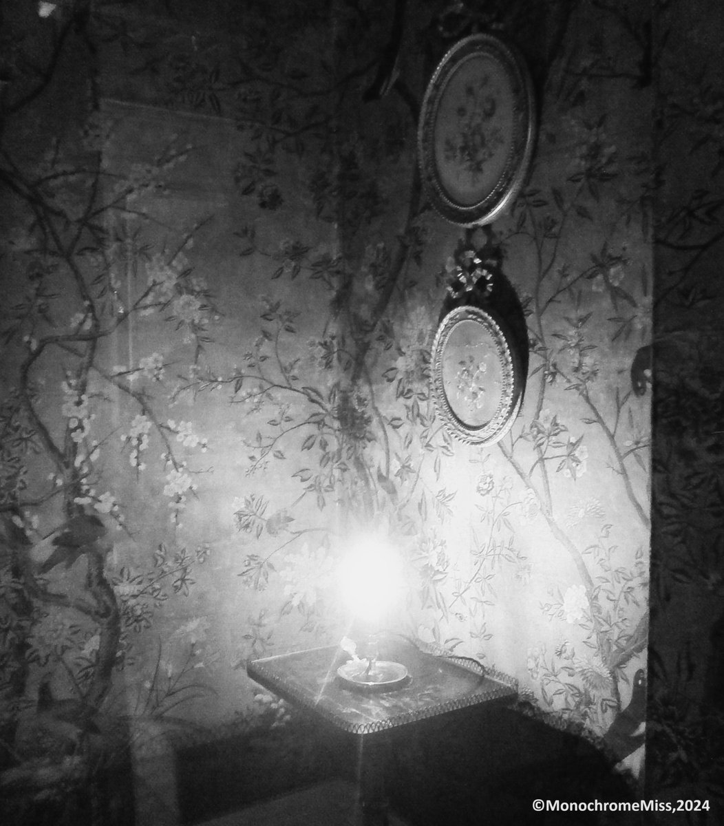 Light me to Bed, 2024 #Monochrome #bnwphotography #blackandwhitephoto #photographylovers #photooftheday #indoors #statelyhomes #Erddig #interiors #lamplight #positivevibes