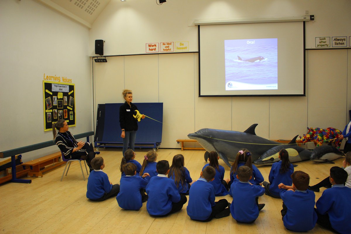 Tesco Stronger Starts backs ORCA’s Pod Squad project for schools 🐳🐬🐋 orca.org.uk/news-blog/orca…