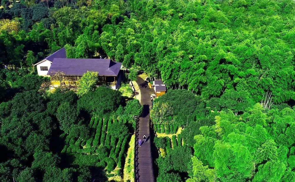 SND_China's tweet photo. Embracing the values of prioritizing nature, #Suzhou New District (#SND) completed 🌳afforestation over a total area of 24 hectares in 2023. Every resident now enjoys 12.7 square meters of park greenery🌿. What a great stride! #SNDUpdates https://t.co/L9EGoQl1Ko