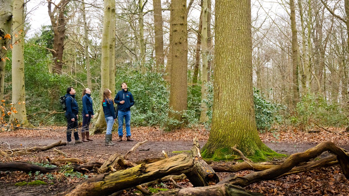 Prolander zoekt een teammanager Mens en Ontwikkeling. Loop jij warm voor het enthousiasmeren en faciliteren van medewerkers die met hart en ziel werken aan het mooie landschap van Groningen en Drenthe? Bekijk de vacature en solliciteer vóór 25 maart via bit.ly/49ULy47