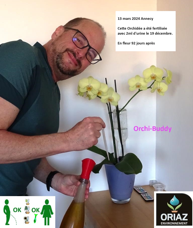 SolarDripper's tweet image. Photo du jour sur les tests avec l&apos;urine fertilisante et l&apos;orchidée. Voici le résultat 92 jours après l&apos;application de 2ml d&apos;urine fertilisante. L&apos;orchidée est arrosée avec l&apos;Orchi-Buddy ORIAZ.  oriaz-environnement.sumupstore.com/article/orchi-…