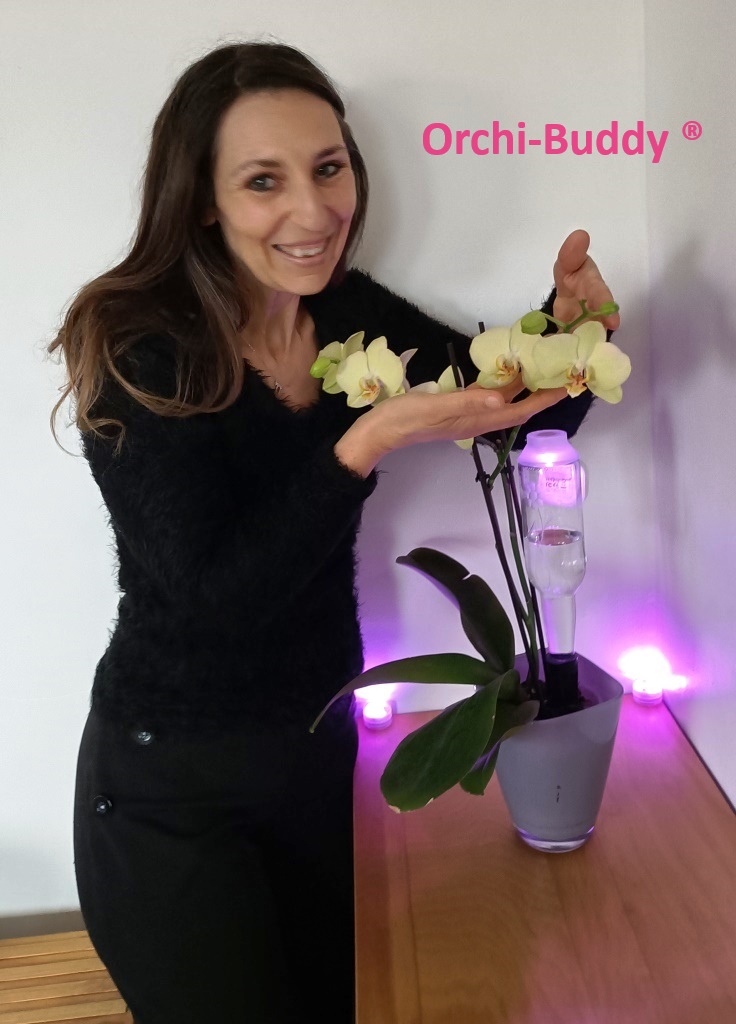 SolarDripper's tweet image. Photo du jour sur les tests avec l&apos;urine fertilisante et l&apos;orchidée. Voici le résultat 92 jours après l&apos;application de 2ml d&apos;urine fertilisante. L&apos;orchidée est arrosée avec l&apos;Orchi-Buddy ORIAZ.  oriaz-environnement.sumupstore.com/article/orchi-…