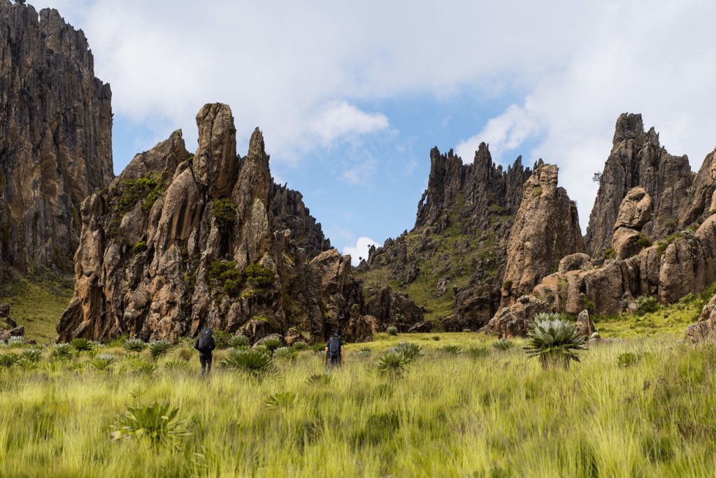 Hiking is among the best East African Safari Adventures you can ever be part of. Visit East Africa for more 📸 Courtesy #hiking #magicalkenya #kenyasafari #visiteastafrica #naturephotography #mountainhiking