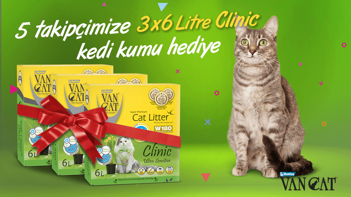 🎁 VanCat Mart Çekilişi! 🎁

Çekilişimize katılmak için:
🐾 <a href="/VanCatTurkiye/">VanCat Türkiye</a> hesabımızı takip et,
🐾 Bu gönderiyi beğen ve repostla,
🐾 Bir arkadaşını yoruma etiketle!

5 takipçimize 3x6L VanCat W180 Clinic #KediKumu #Hediye! 😻

🛎 Çekiliş sonuçları 21 Mart'ta açıklanacaktır.