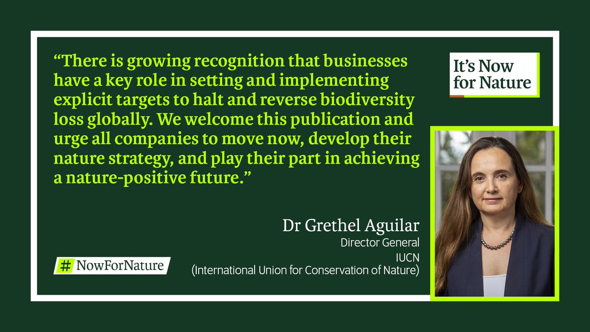 BESNet_gh's tweet photo. Why should #Nature be part of every business strategy?
‘It’s #NowforNature’ is a joint global campaign to bring together all businesses to act on nature and contribute towards a nature-positive world by 2030. 
📷 Find out more: https://t.co/edz0V7Qy1V
Dr Grethel Aguilar, IUCN https://t.co/Flp0uq1A9g