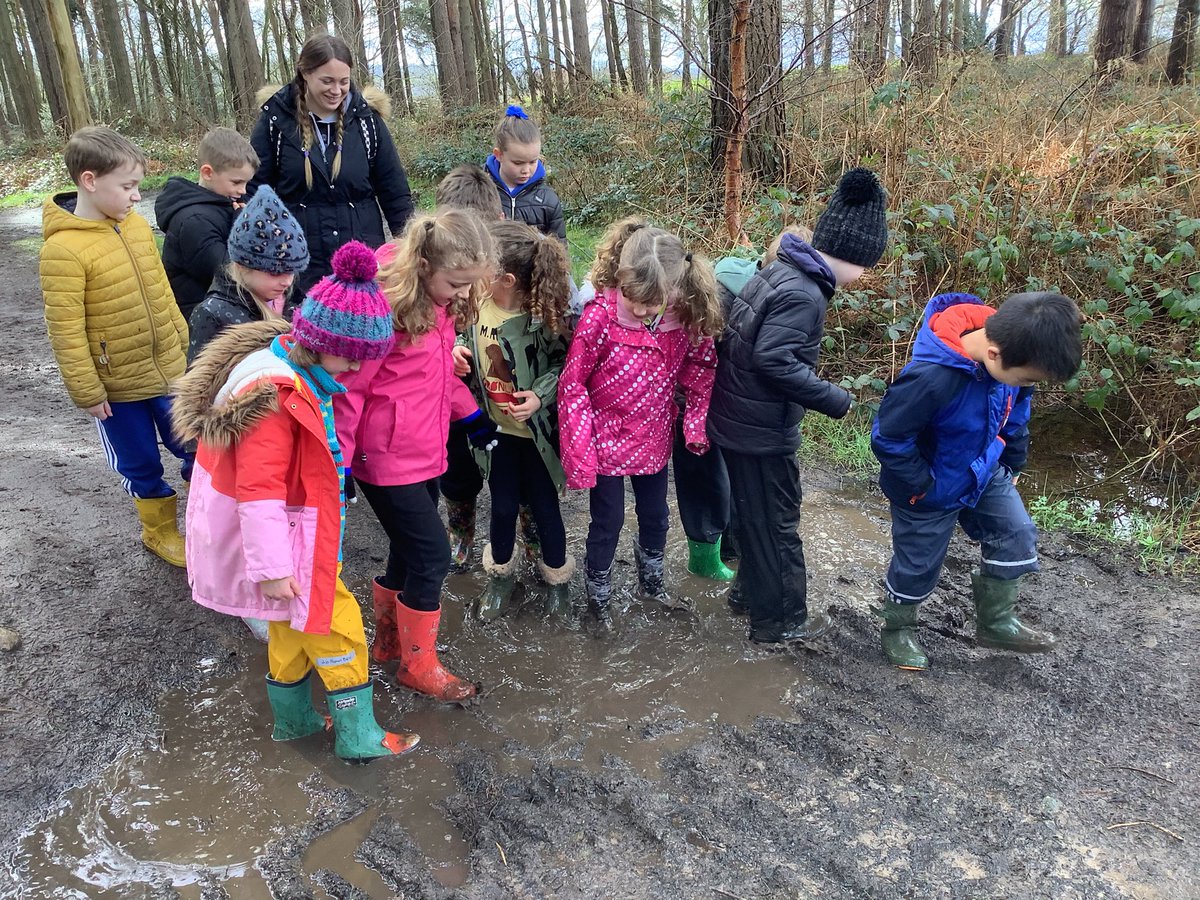 LostockGralamPr's tweet photo. Swallows had a wonderful time exploring habitats, splashing in streams, building dens and toasting marshmallows in the forest. #LGCEScience #LGCEDT https://t.co/vLaWTG4kIe