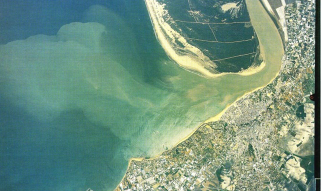 Tweet image 1