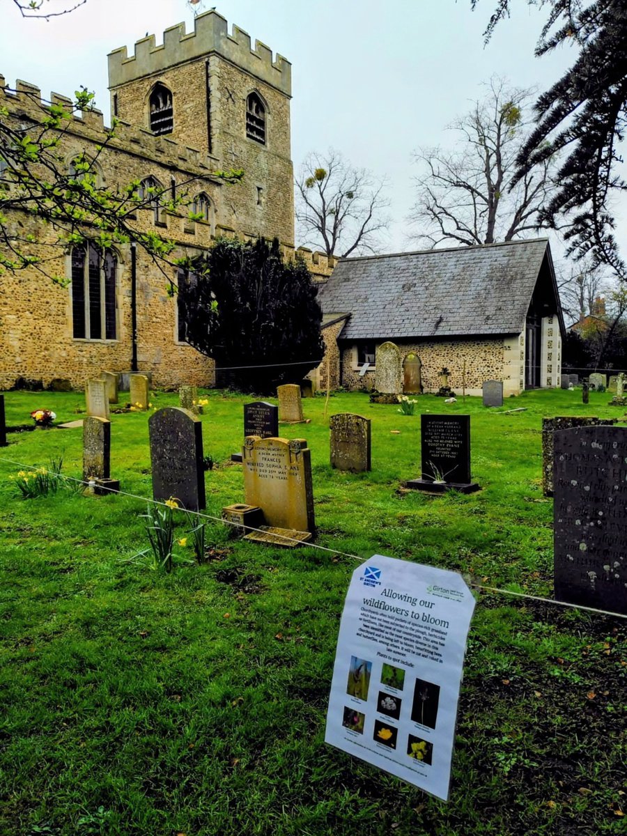 If you have visited the Churchyard recently, you may have seen this area set aside to not be mowed. The parish's approach to mowing this year will see some areas mowed but others allowed to grow more wild and support the local wildlife. @godsacre tinyurl.com/3z9x2kp6