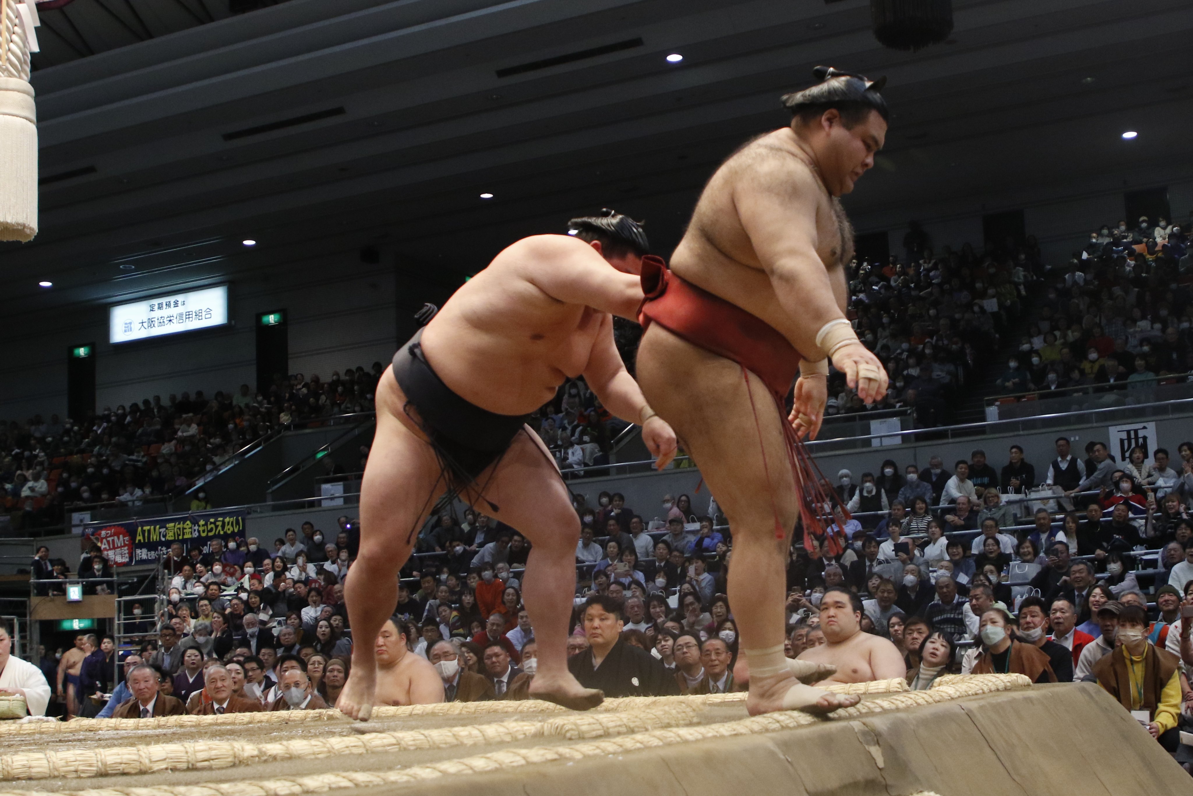 大相撲　豪ノ山関　反物　一反　新品未使用 大相撲 豪ノ山関 反物 一反 新品未使用の通販 by ちょこまんま