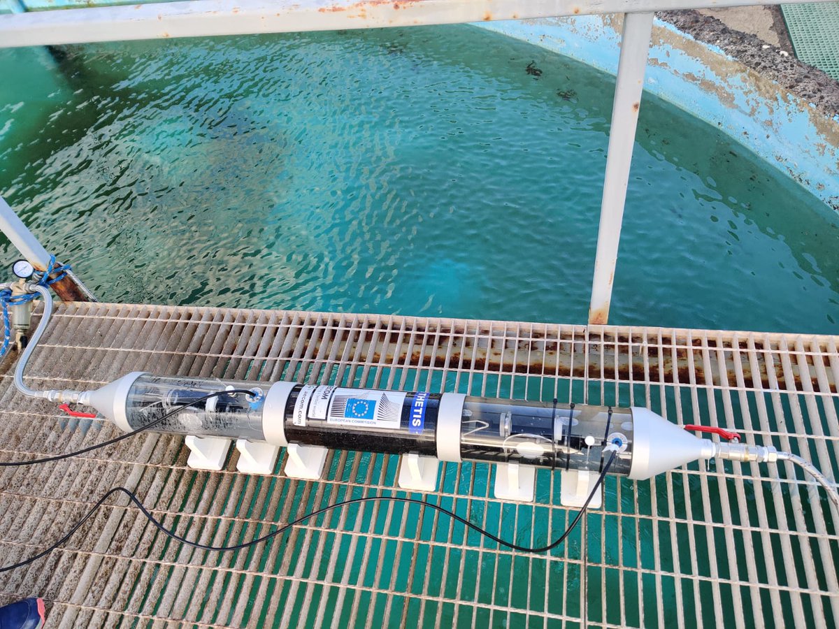 carafa_roberta's tweet photo. Third day of pilot study @IEOoceanografia everything  works perfectly! thanks 👩🏼‍🔬🔬🧬🧪☠️ #WATERSCAN project @AECOM, #JRC, @MSCActions @H2020_impact @FonsUECat @accio_cat https://t.co/BGxPsHTude