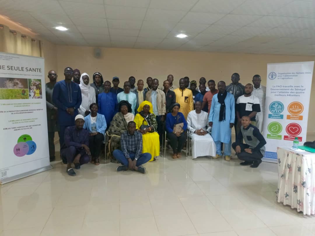 FAOSenegal's tweet photo. #Happening
📍Lac Rose| Du 5⃣ au8⃣ Mars

5⃣0⃣ aviculteurs venant de Dakar et Thiès formés aux bonnes pratiques d’élevage et aux normes de biosécurité en vue de:
✅Réduire l’exposition des animaux aux antimicrobiens 
✅Préserver l’efficacité des traitements des vétos

#FAO_ECTAD https://t.co/osszQXnuM4