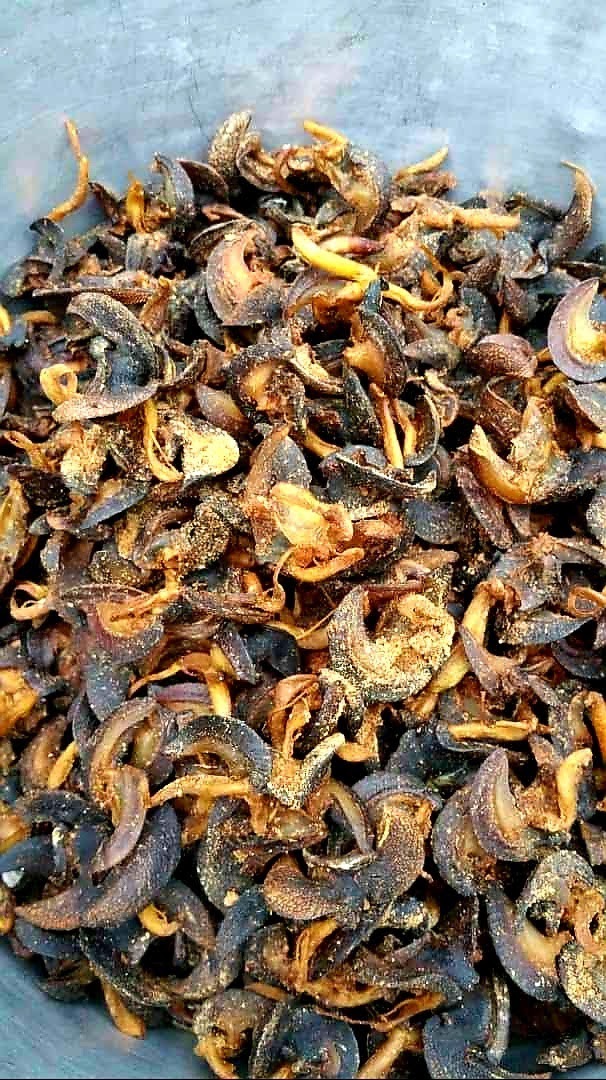 DID YOU KNOW!!!!

 BASKIT OFFERS 50% DISCOUNT FOR

 *Fresh Snails
 *Half Dried Snails
 *Dried SPICED Snails

 THE DIFFERENCE IS IN THE TASTE.