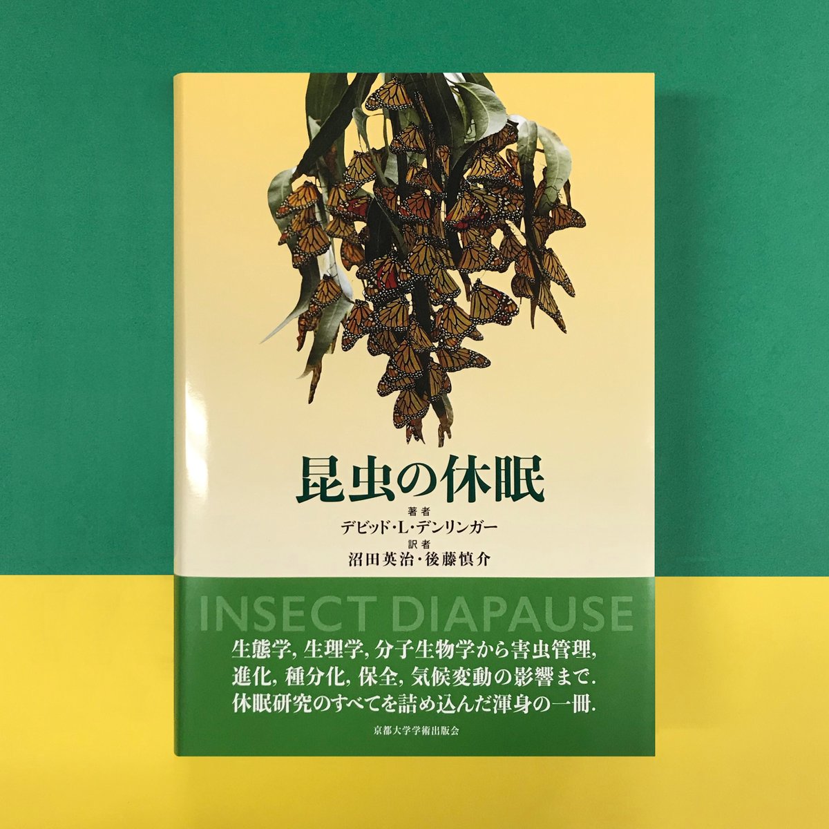 KyotoUP's tweet photo. 【新刊発売】
『昆虫の休眠』
D・L・デンリンガー／沼田英治・後藤慎介訳
https://t.co/amxERSFqT1
昆虫は休眠を生活史に組み入れることで，生存に不利な季節をやり過ごし，地球上のあらゆる大陸に進出することができた．分子メカニズムから生態，進化まで，多彩な視点と絡め休眠を包括的に論じる大著. https://t.co/3nW235jzL3