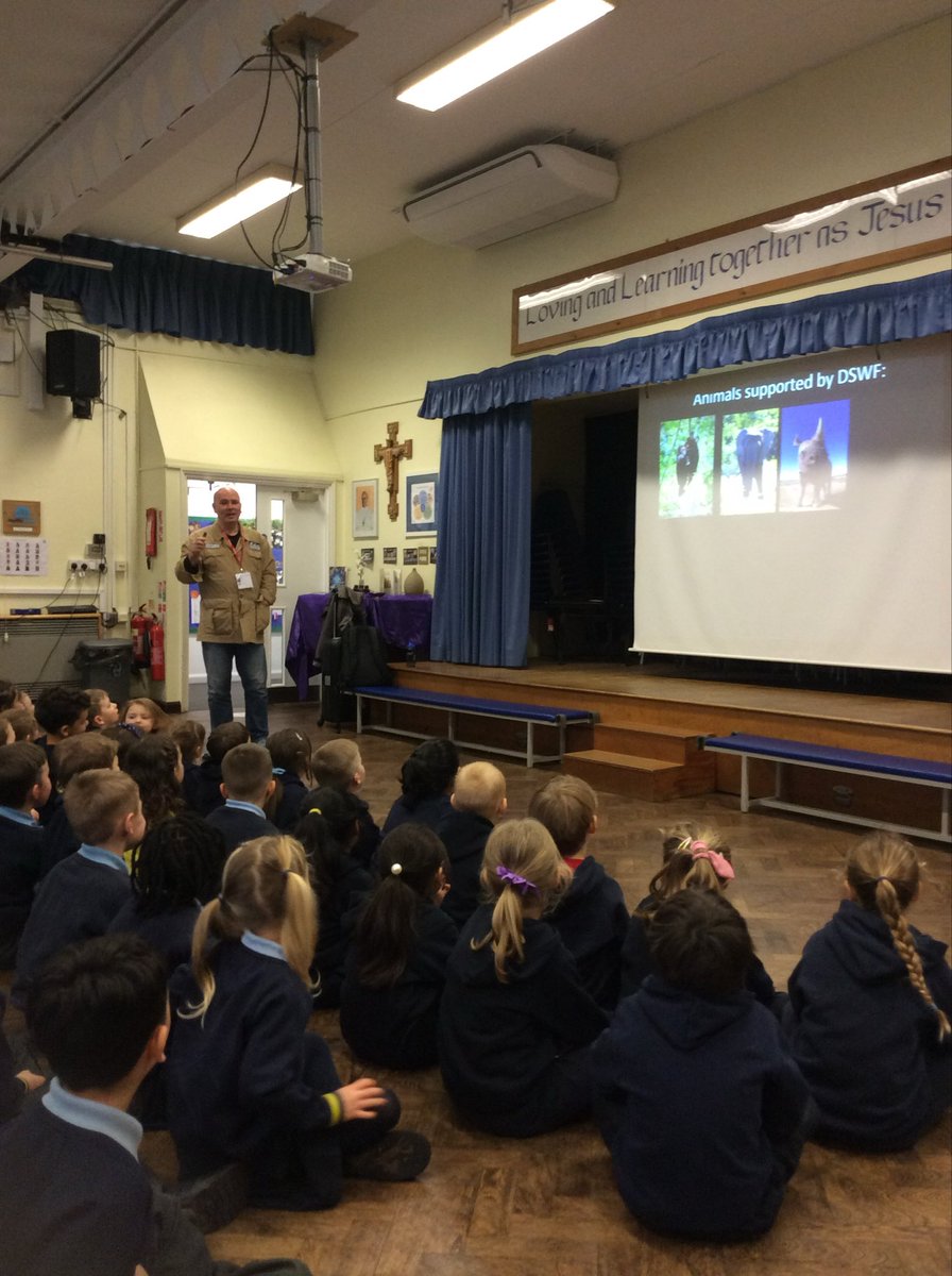 As part of #ScienceWeek we welcomed @DSWFWildlife to talk to the children about habitats in the world and endangered animals. We look forward to welcoming Mark back tomorrow for more workshops! 🐅🐼🦍🦏