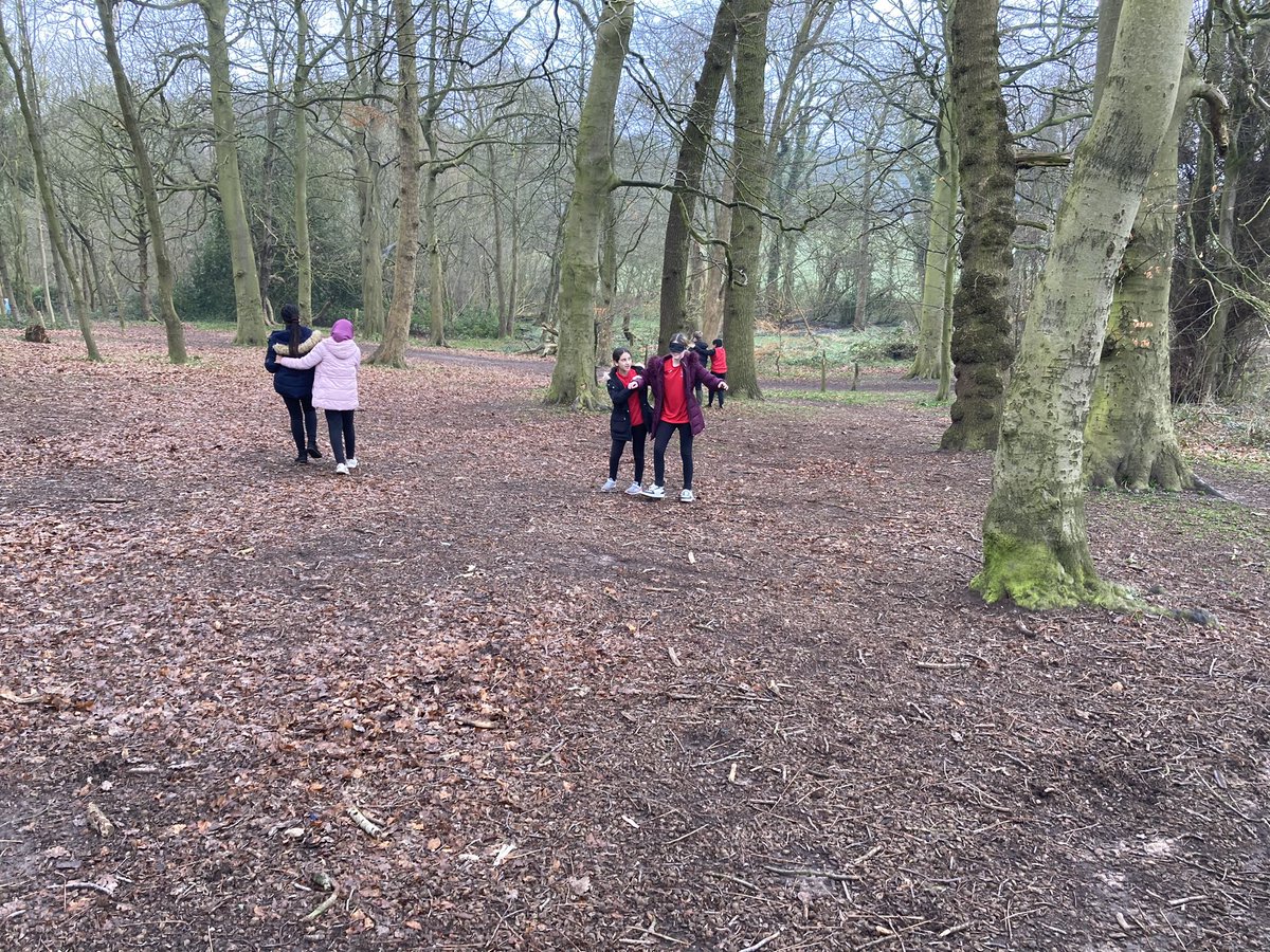 Moreton’s 7A1 use a trust activity to learn about tree recognition #challengeyourself @MoretonSchool