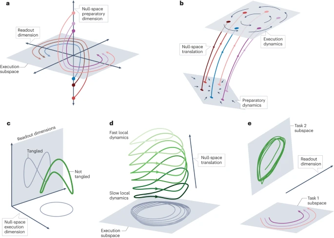 Preparatory activity and the expansive null-space — a Review by <a href="/MarkChurchland/">Mark Churchland</a> &amp; Krishna V. Shenoy

go.nature.com/4cczNr9