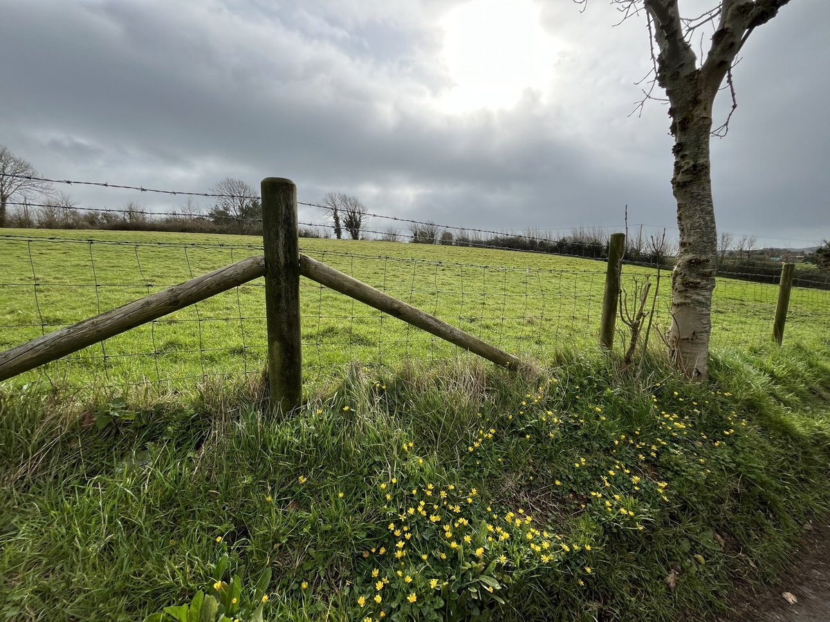 Ian Tattum tweet media