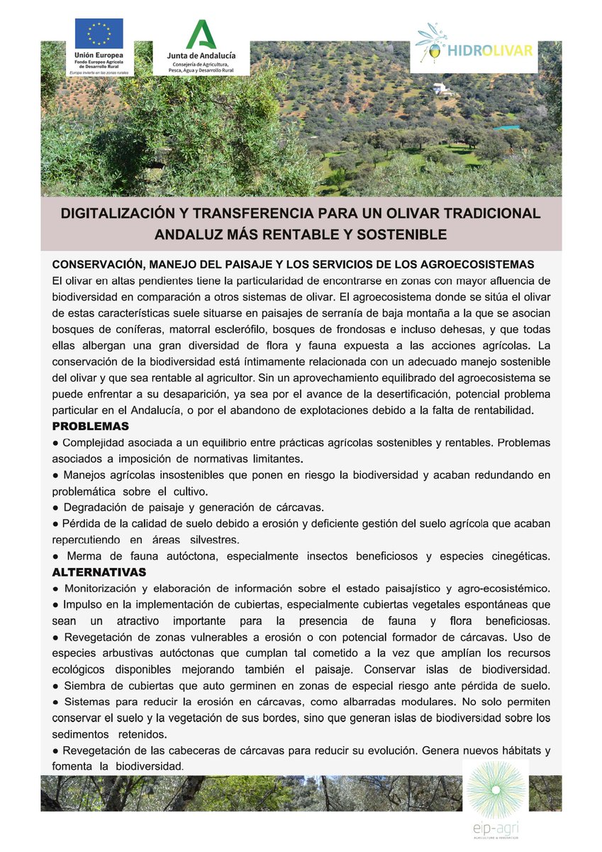 HIDROLIVAR's tweet photo. #FactSheet @HIDROLIVAR
🌿Conservación, manejo del #paisaje y de los #servicios #ecosistémicos.
🌞Adaptación a la #sequía y mitigación del #clima en el #olivartradicional https://t.co/xXlBqWv2T3