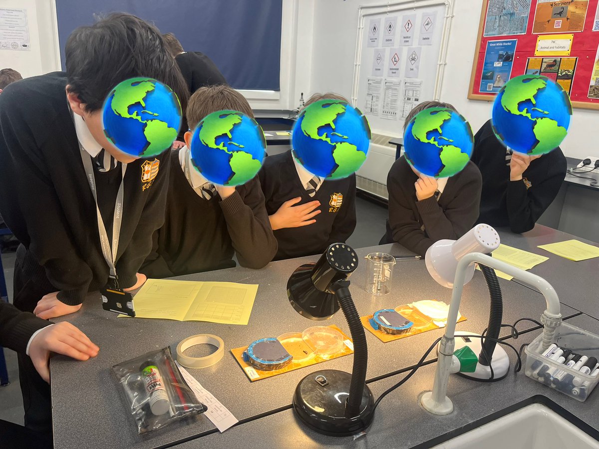 Investigating woodlice behaviour as part of Festival of Science