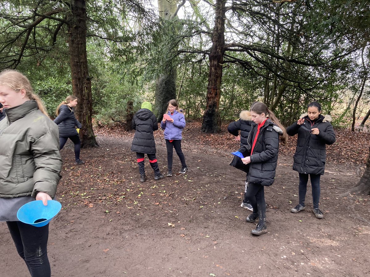 7A4 improve their balance, practice concealment and learn about navigation in a forest #challengeyourself @MoretonSchool