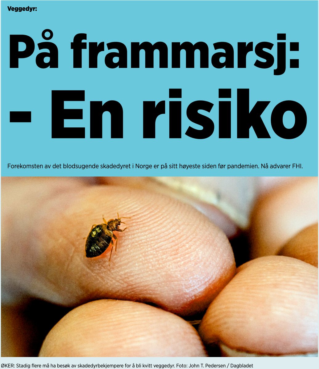 Aviseth's tweet photo. I dag er @dagbladet virkelig på hugget, og dommedag er snart en realitet. ikke kjøp innpakkede grønnsaker, bacon er livsfarlig og et familiemedlem av flåtten truer med å utrydde det meste. Og flåtten selv er her snart. Verre enn noen gang. #Dommedag #Frykt #Klikk https://t.co/J9l9OrbzWZ