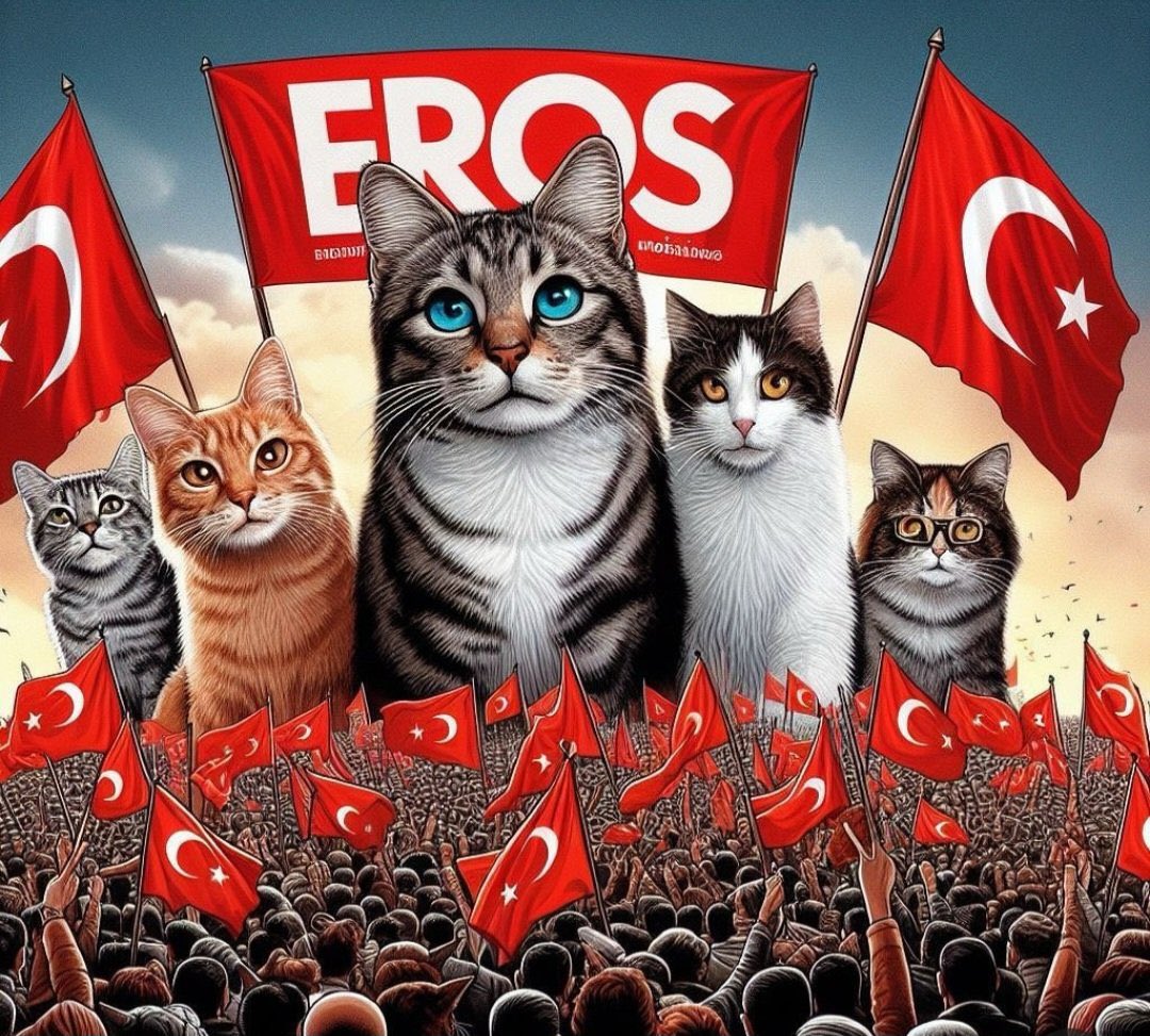 Bu ülkede hiçbir kedi sahipsiz değildir. 
#Erosicinadalet