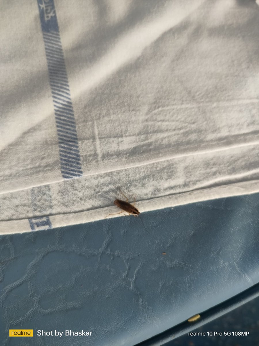 Sarkar2bhaskar's tweet photo. Lot's Of Small Coackroaches are there in every seat . Please Do the Needful.
Train No - 15483
PNR NO - 6532887065
Coach No - B3
Seat No - 21
Mobile No - 7074797179
@RailwaySeva @AshwiniVaishnaw https://t.co/KrHi7Odi1R
