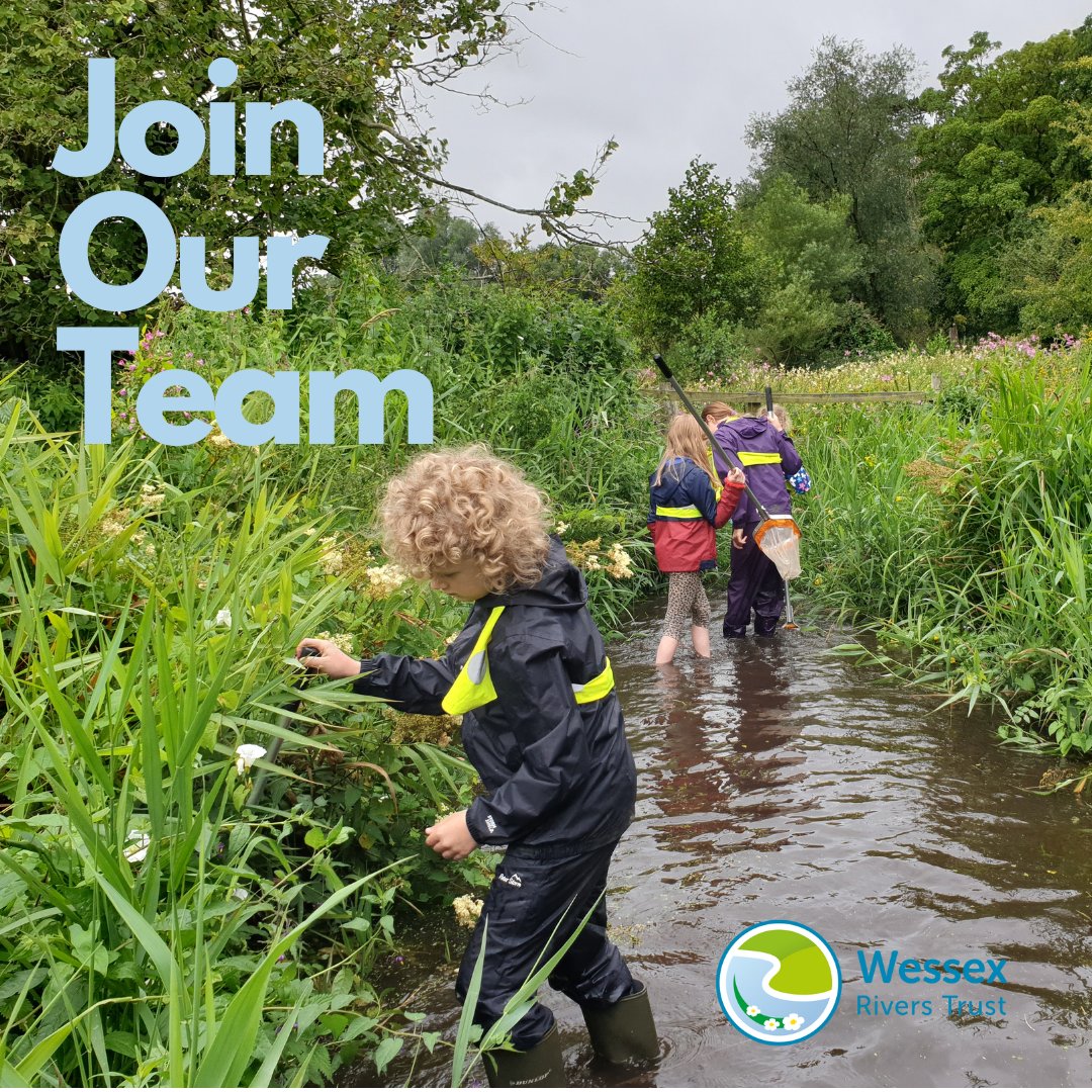 🌿 Job Opportunity: Part-time Education and Engagement Manager. Make a difference in environmental education and community engagement throughout Wessex and the Isle of Wight! We're seeking a passionate individual to lead our vital work. ow.ly/pVPO50QR9o3