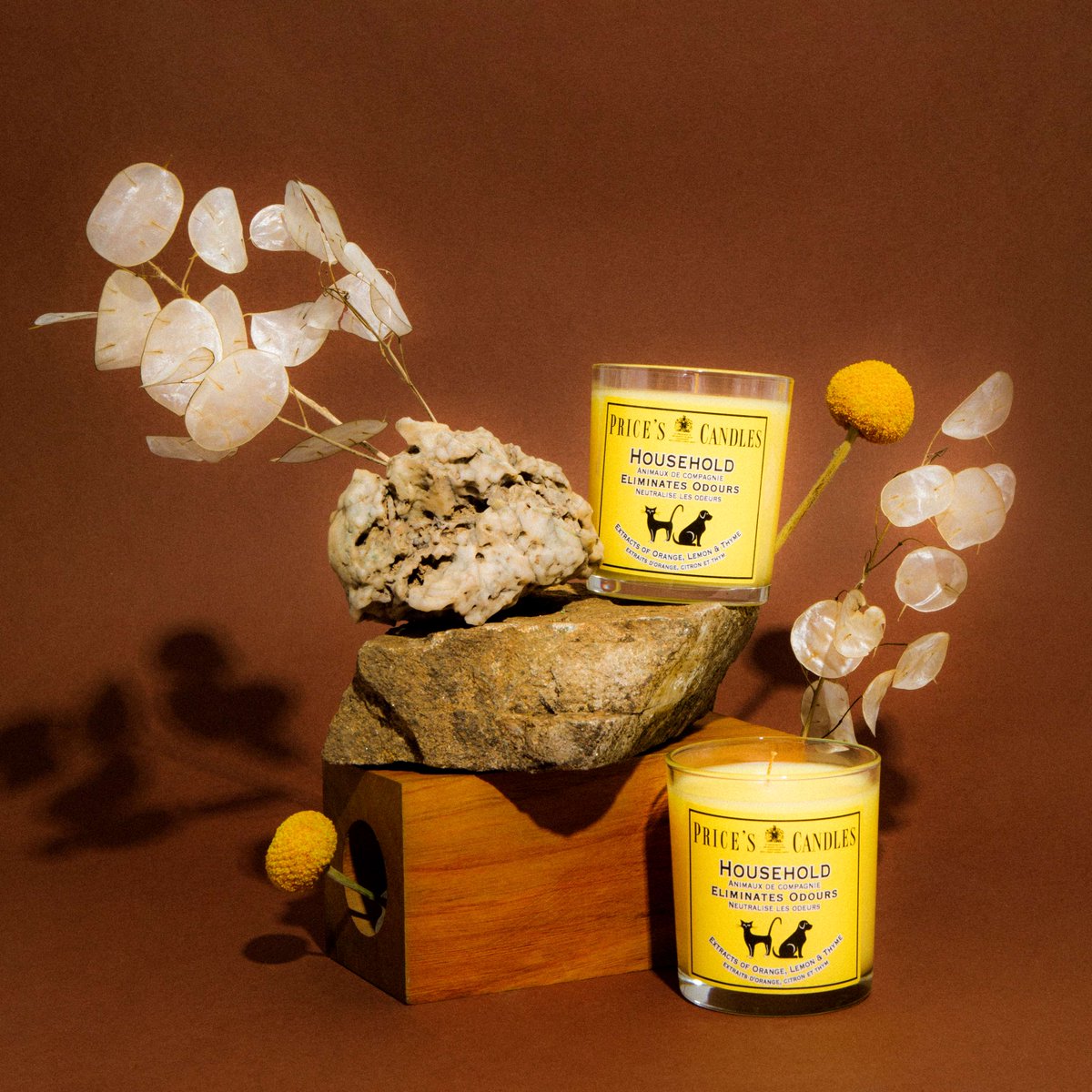 Ready to tackle that spring cleaning checklist? 
Our candles will make it a breeze with their powerful odour eliminating abilities!🌸🏠

30% off our Fresh Air Range. 

#springcleaning #freshenup #cleanhouse #candles #odourfree #freshscent #cleanliving #springclean #cleanandfresh