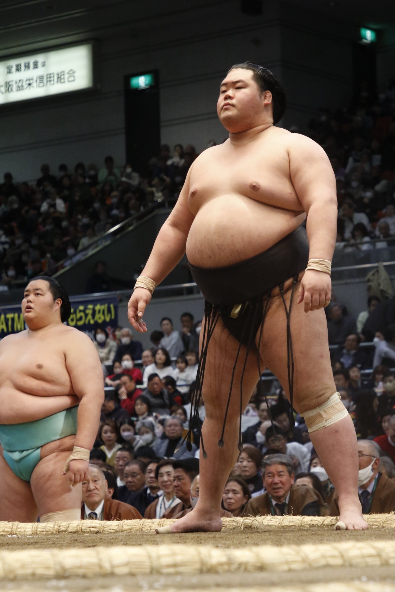 相撲 北の湖 粗布 2個セット 相撲 北の湖 粗布 2個セット 相撲 北の湖 粗布 2個セット