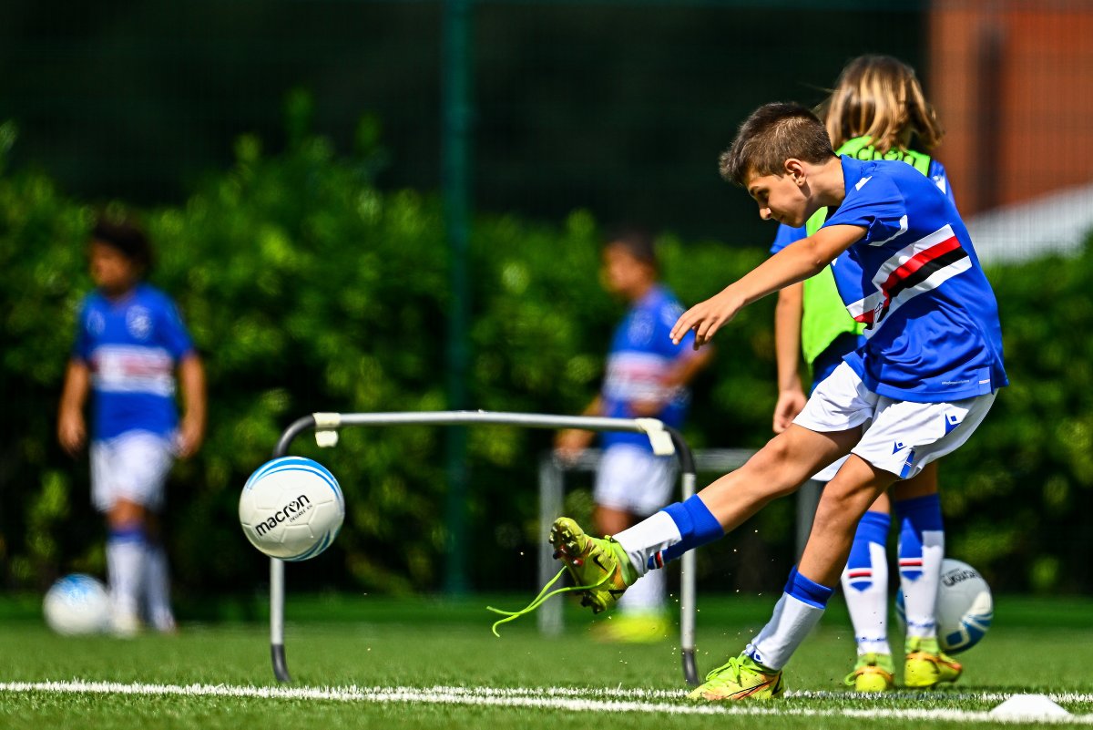 sampdoria's tweet photo. 👦🏼| SAMP CAMP
Scopri i #SampCamp 2024: un'estate di passione e divertimento a tinte blucerchiate.
🔗 https://t.co/0qbH9kF5Q5
🔵⚪️🔴⚫️⚪️🔵 https://t.co/t7ak5OhZen