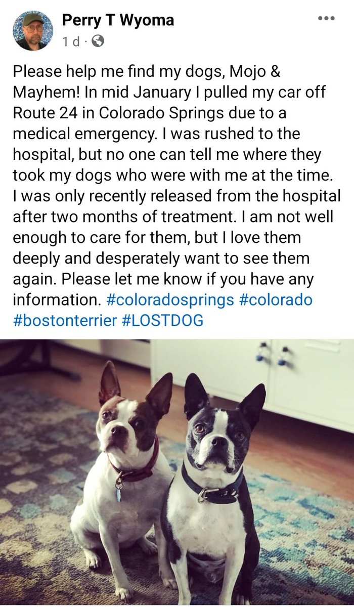 #Colorado #missingdogs #repost #lostdog #coloradosprings #bostonterrier #dog #usa