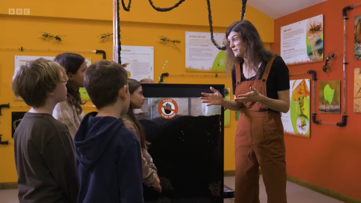 Reepham Primary School tweet media