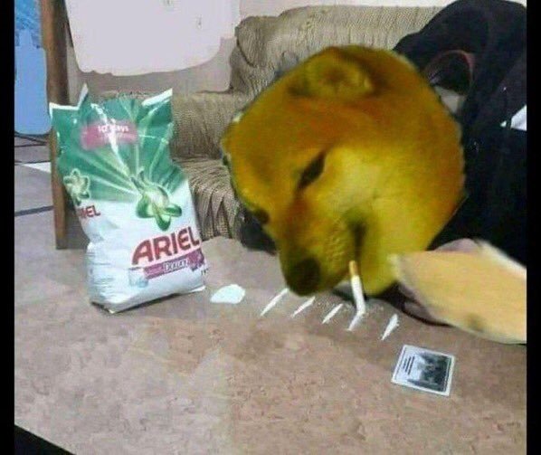 onepunchman747's tweet image. What the hell is going here pajeets are making fun of American #drugaddicts