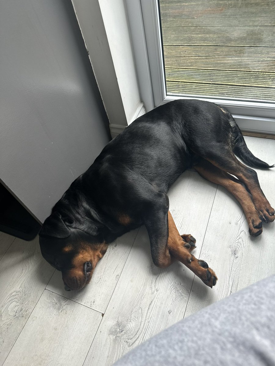 My writing partner seems to be sleeping on the job….