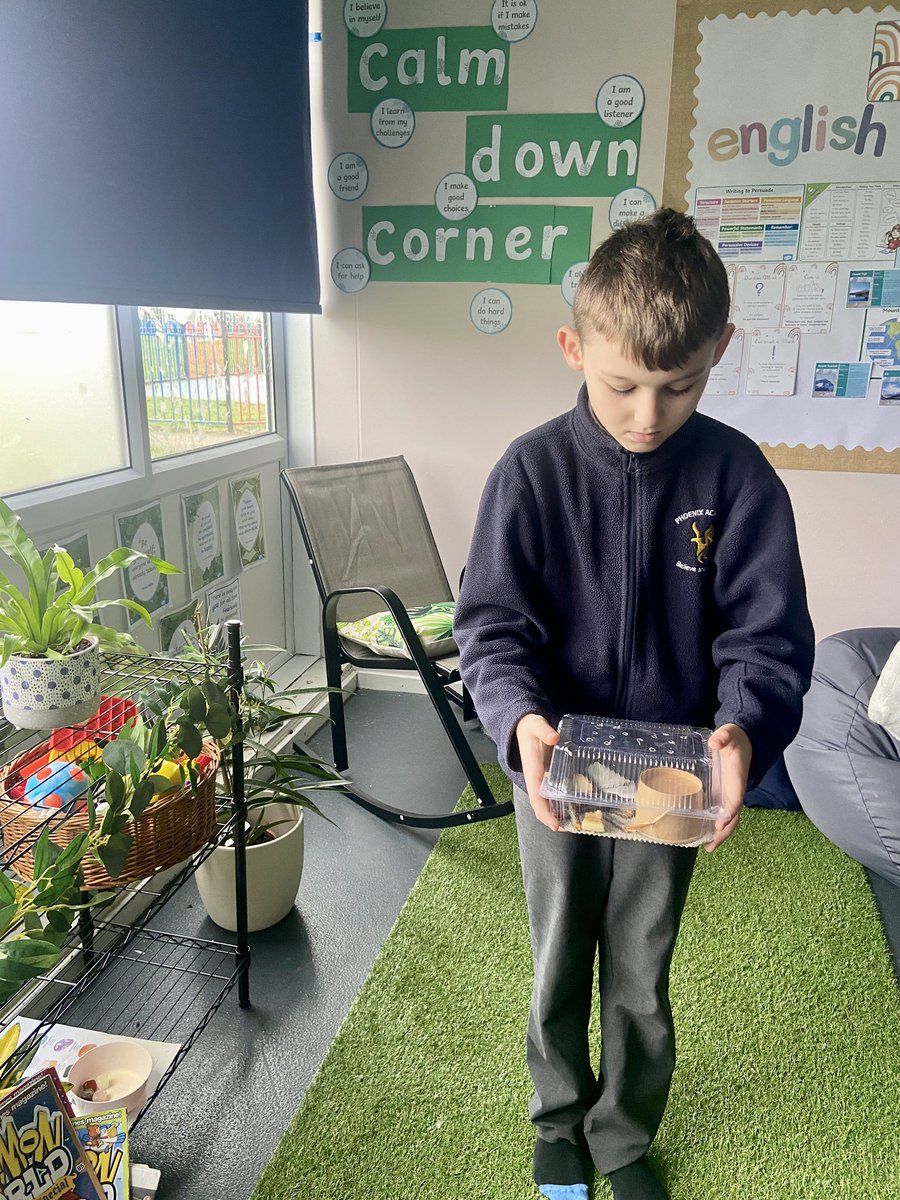At Phoenix, we love bringing learning to life. Here is one of the pupils from Elder Class and his crickets. All of the class are filled with joy and excitement to find out about their habitats and life cycles. They even have names! #welovelearning #immersivelearning #semh