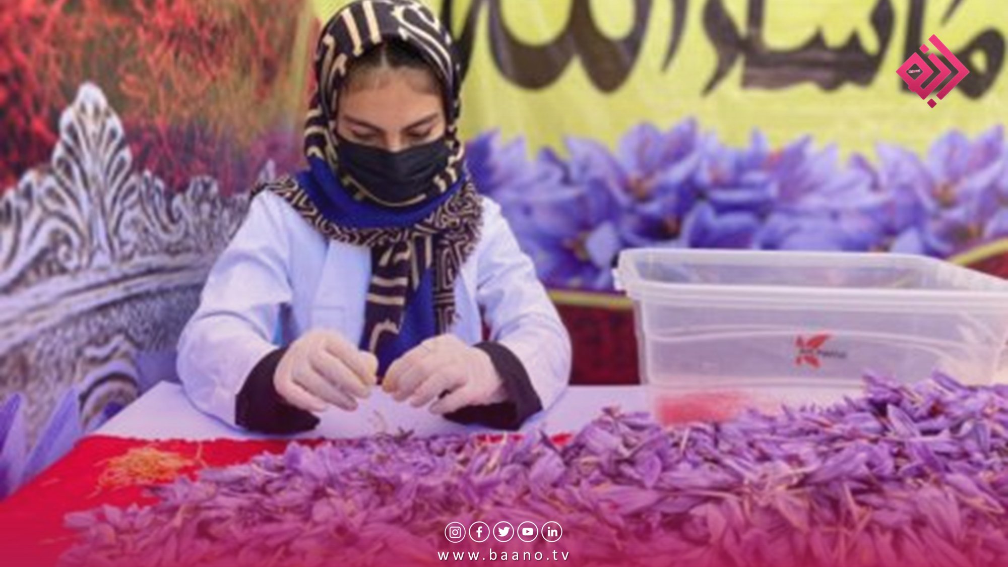 یگانه زن صادرکنندۀ زعفران در هرات خواهان ایجاد تسهیلات برای اشتراک در نمایشگاه‌های بین‌المللی است.
