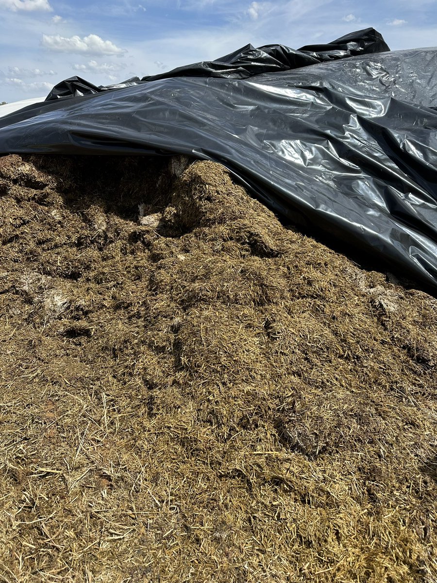 Grassroots Agronomy tweet media