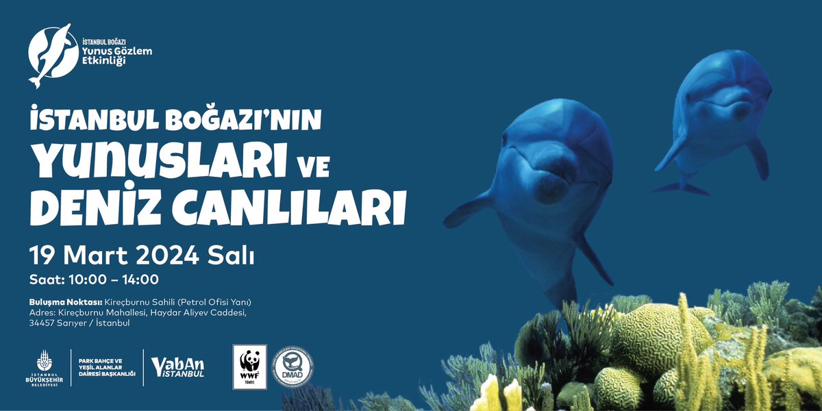İstanbul Boğazı’nın maviliklerinde bizimle yunus gözlemlemek ister misiniz?🐬

‘Yaban İstanbul’ projesi kapsamında 19 Mart Salı Günü düzenlenecek olan ‘İstanbul Boğazı Yunus Gözlem Etkinliğimize tüm İstanbulluları bekliyoruz!

<a href="/istanbulbld/">İstanbul Büyükşehir Belediyesi</a> 
#yesilistanbul #yabanistanbul