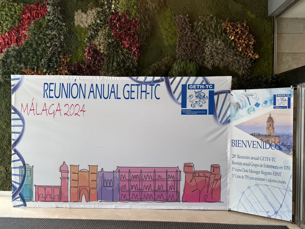 GETH_info's tweet photo. Mañana comenzamos….

@GETH_info 
@sehh
@SEHHJoven https://t.co/JWlCIUOyEK