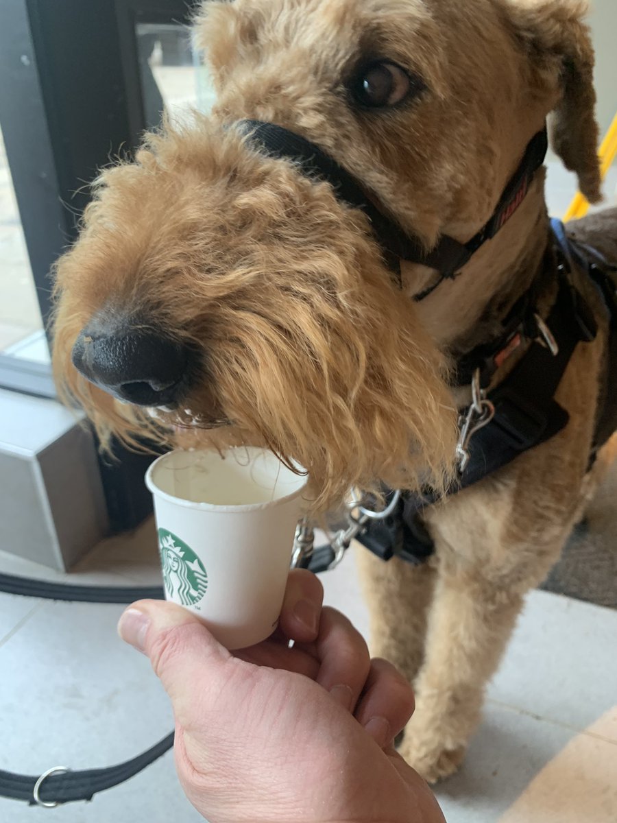 Oh my dogness! Doing my taste buds a delight #PupCup @StarbucksUK