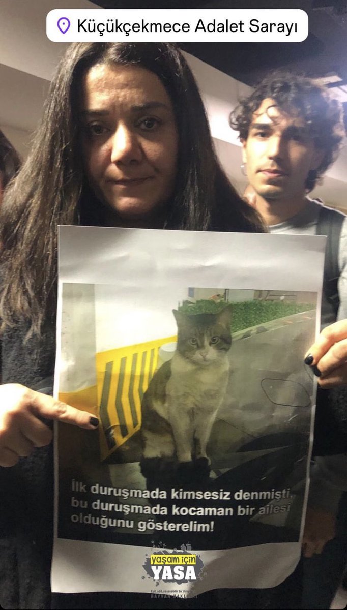 tambirmarla's tweet photo. Bu fotoğrafa o kadar üzüldüm ki. Hiçbir canlı aynı kaderi yaşamasın; tecavüze, şiddete uğramasın diye artık caydırıcı bir hayvan koruma yasası istiyoruz. Hayvanlar mal değil, can! Ve katiller gücünü önce hayvanlar ve çocuklar üzerinde deniyor, artık dur diyelim #erosiçinadalet https://t.co/PCtRp1VEVj