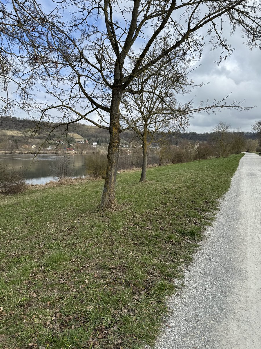 Training along the Danube in Regensburg for the Big Sur Marathon for ⁦@cityofhope⁩