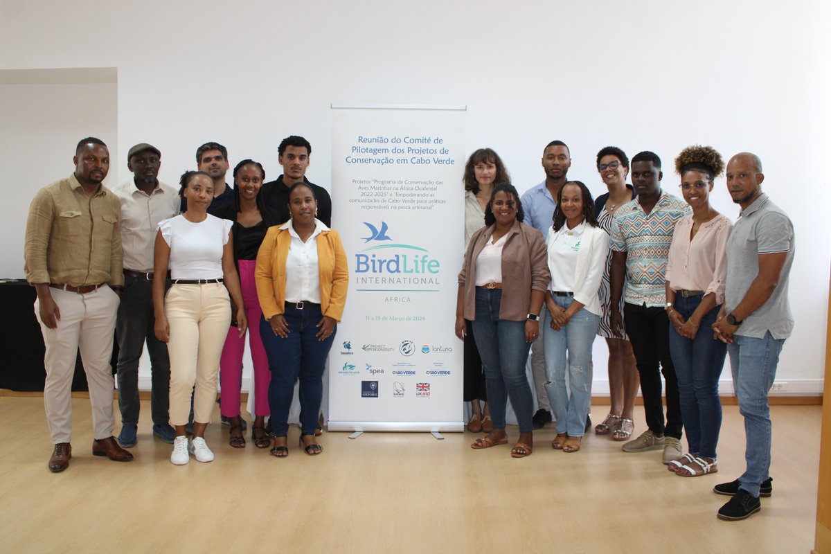 The 2nd meeting of the Steering Committee for Conservation Projects in #CaboVerde is taking place in Mindelo from 11th - 15th March. The meeting brings together various project stakeholders including @BiosferaCV, @BirdLife_News, @projecto_vito, @ProjetoSal, @LantunaCV