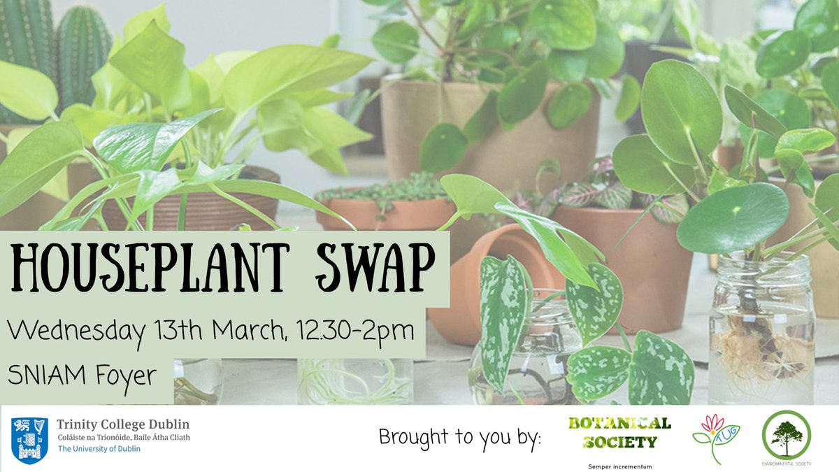#GreenWeek Wednesday: 12:30 Plant Swap @ SNIAM/Physics 1:00 Climate Action and Sustainable Development Series: Climate & Health online webinar 1:00 Sustainable Fashion Talk @ Arts Block pods ➕Swap shop all day, film screening at Douglas Hyde and sculptures all over campus!