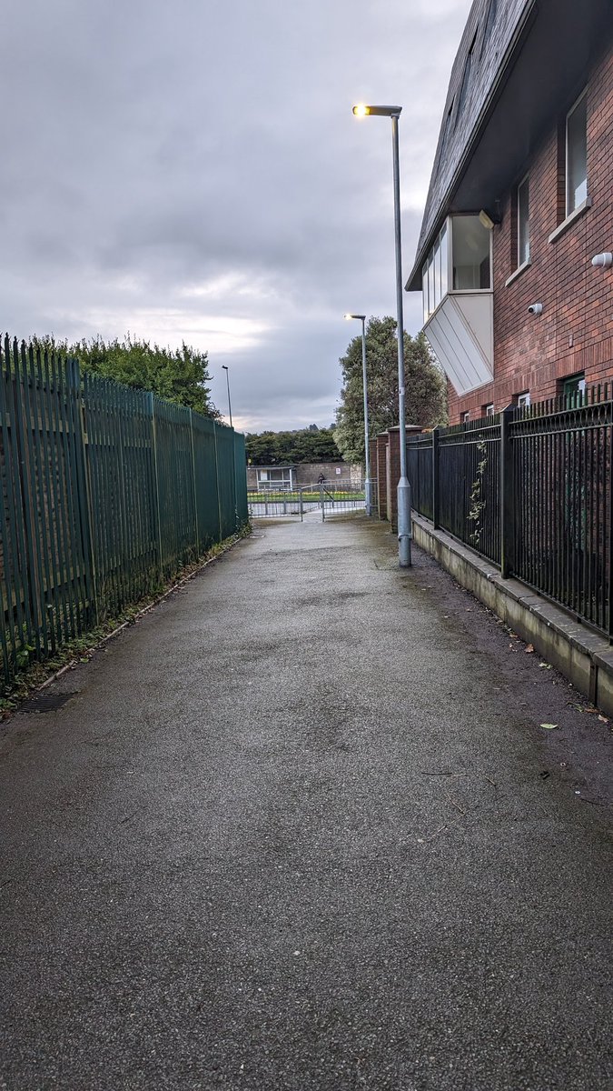 Thanks to <a href="/CabinteelyTidy/">CabinteelyTidyTowns</a> for clearing the lane between the N11 and the Old Bray Rd of the huge amount weeds and litter. Amazing work as always. #TidyTowns