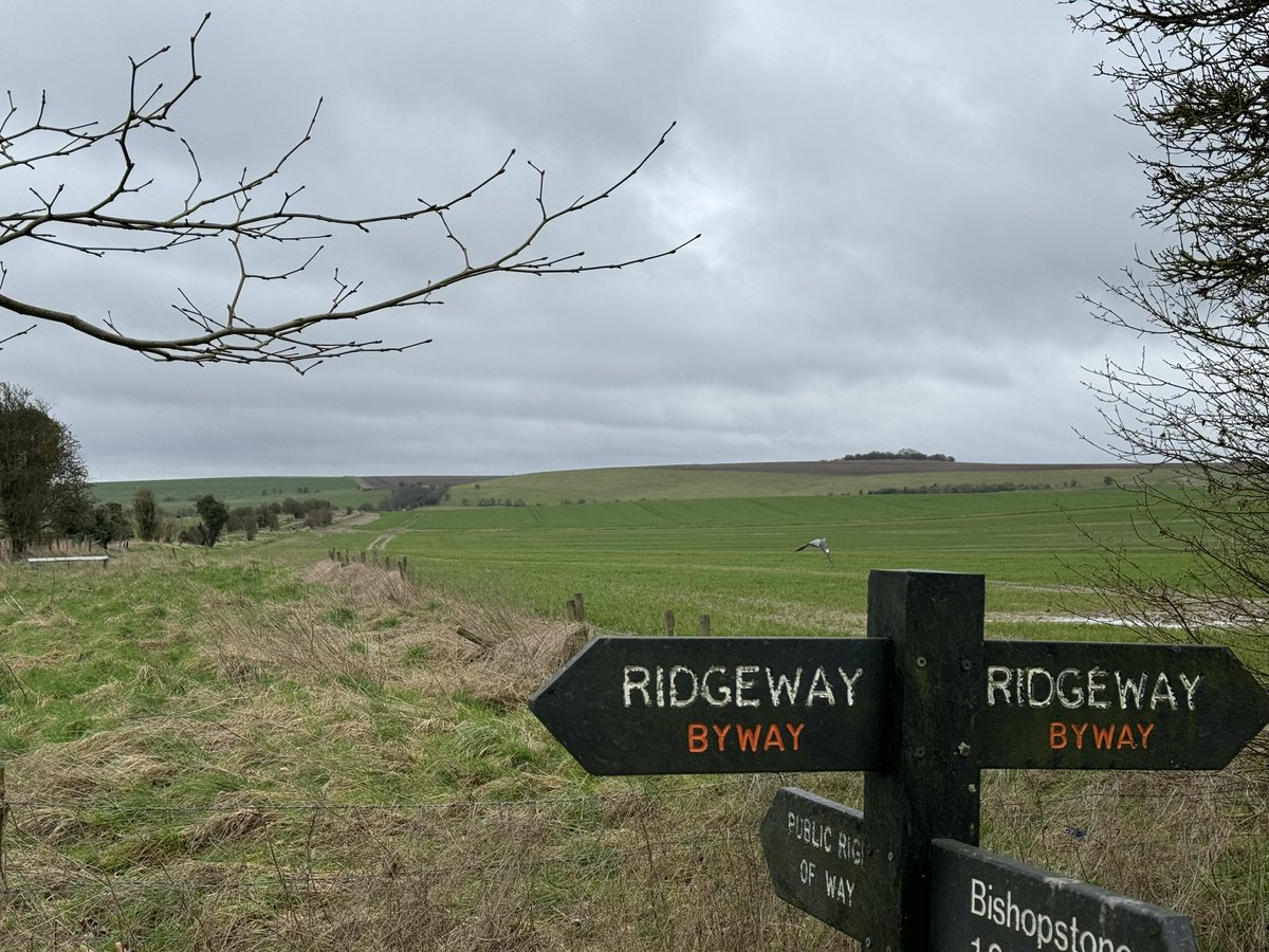 I’ll be inside in a meeting all day but at this actual moment I am on the Ridgeway #Wiltshire ✌️