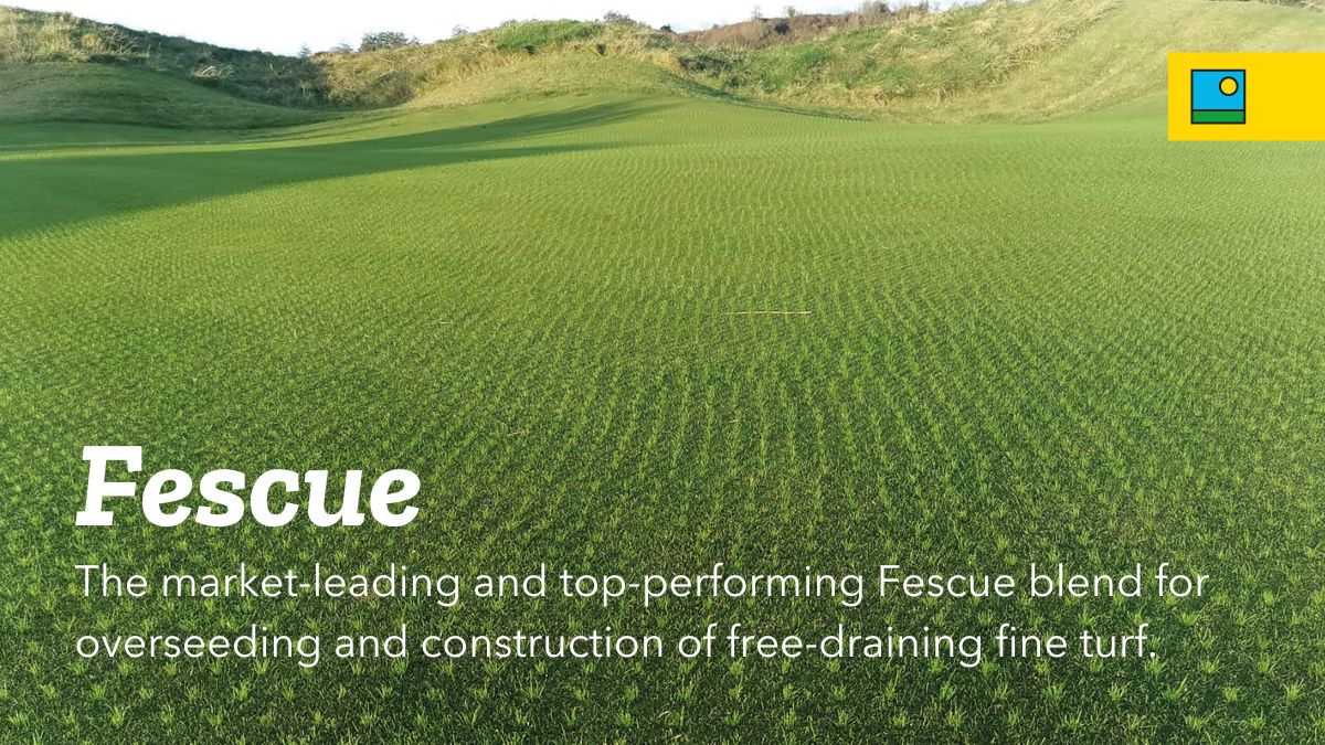 Fescue🤩⛳️
🌱60% slender creeping red fescue & 40% Chewings red fescue
🌱Features three new top-rated cultivars in 2024
🌱Ideal for free-draining, sandy links greens
🌱Superb disease tolerance, particularly Dollar Spot & Microdochium
barenbrug.co.uk/sport/products…
#GrassExperts #Golf