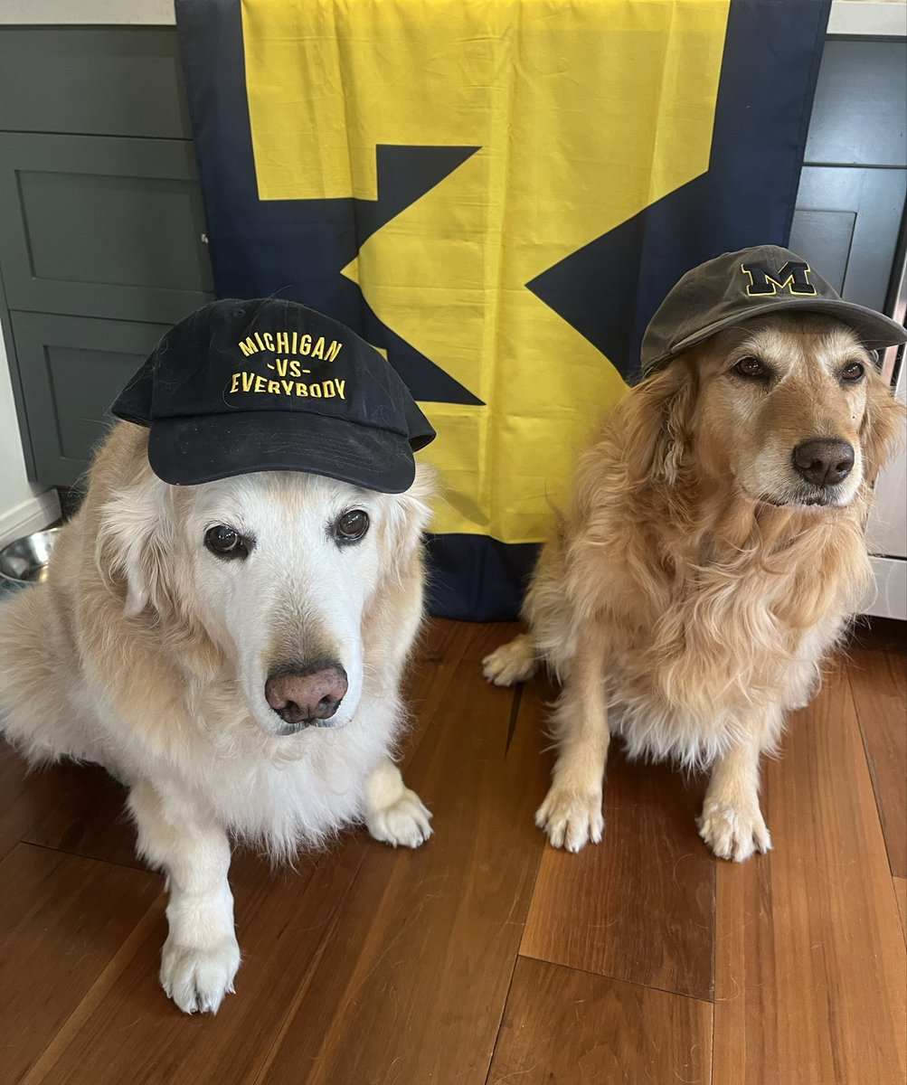 Luna and Lola are supporting @MichiganMock this #GivingBlueday ❤️🏆